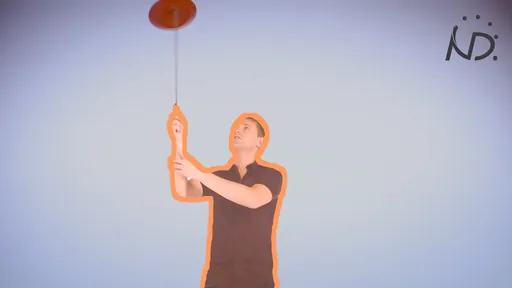 Spinning plate