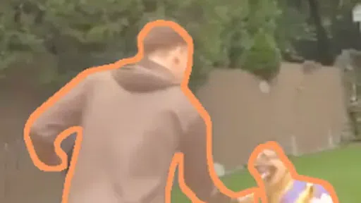 Person shaking