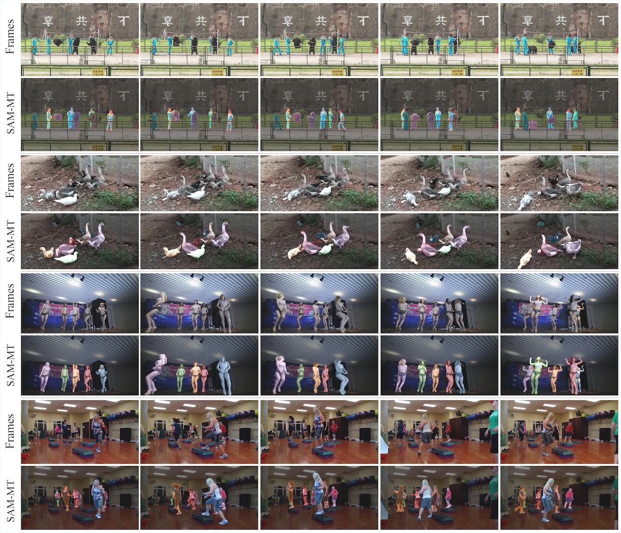 SAM-MT qualitative results in dense multi-target scenes